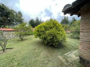 rs2200419 img 22 large