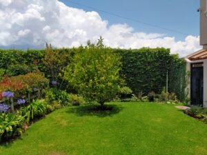 rs2200710 img 21 large