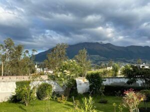 rs2200710 img 33 large