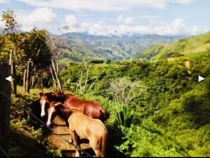 rs2200774 img 10 large