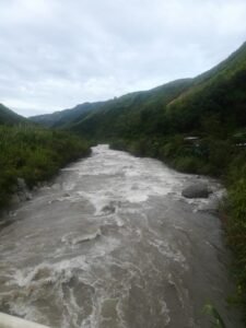 rs2200774 img 12 large