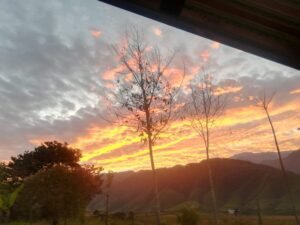 rs2200774 img 13 large