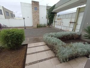 rs2300349 img 13 large