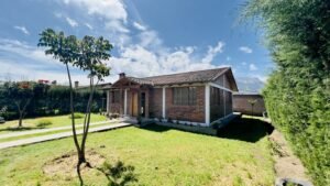 rs2300412 img 2 large