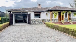 rs2300566 img 2 large