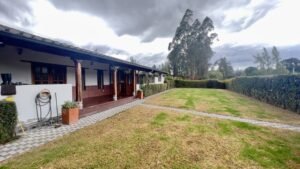 rs2300566 img 30 large