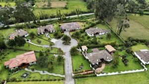 rs2300566 img 3 large