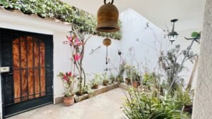 rs2300699 img 26 large