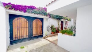 rs2300699 img 29 large