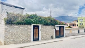 rs2300699 img 36 large