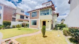 rs2300804 img 4 large