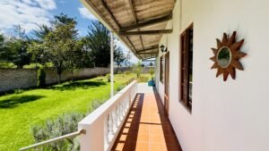 rs2400065 img 17 large