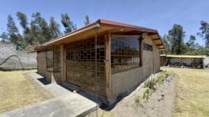 rs2400139 img 15 large