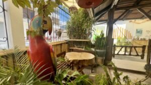 rs2400299 img 3 large