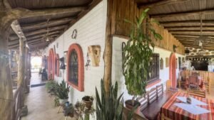 rs2400299 img 8 large