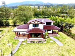 rs2400300 img 21 large