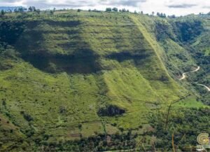 rs2400325 img 14 large