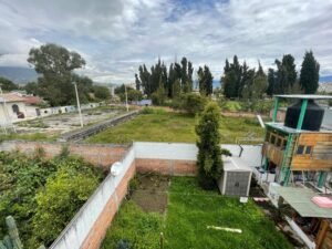 rs2400434 img 6 large