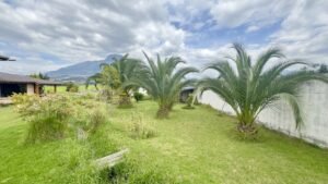 rs2400504 img 6 large