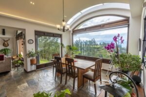 rs2400722 img 37 large