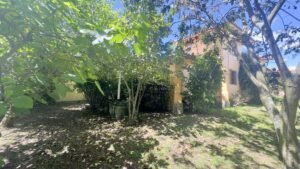 rs2400775 img 29 large