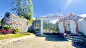 rs2400775 img 7 large