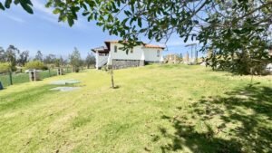 rs2400966 img 31 large