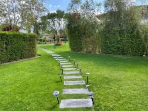 rs2401017 img 24 large