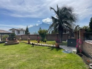 rs2500034 img 34 large