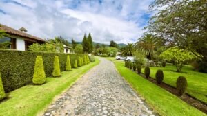 rs2500116 img 3 large