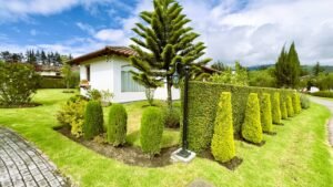 rs2500116 img 4 large