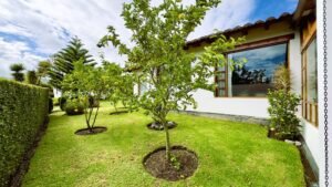 rs2500116 img 6 large