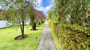 rs2500116 img 7 large