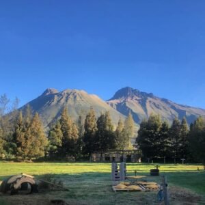 rs2500127 img 32 large