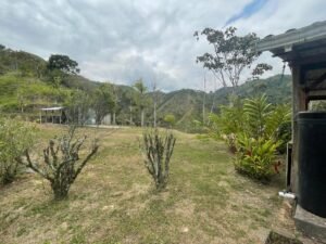 rs2500139 img 12 large