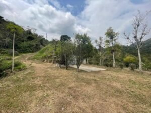 rs2500139 img 22 large