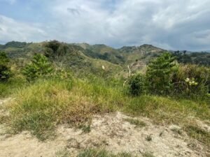 rs2500139 img 25 large