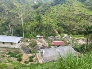 rs2500139 img 3 large