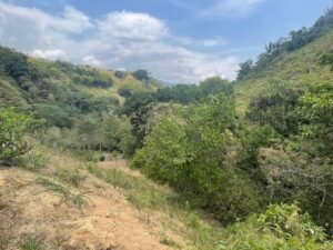 rs2500139 img 8 large