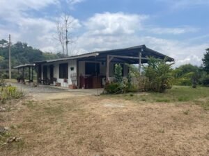 rs2500139 img 9 large