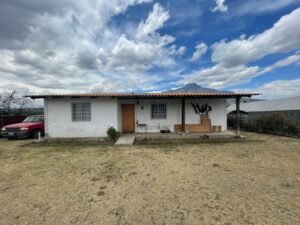 rs2500279 img 20 large