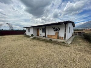 rs2500279 img 22 large