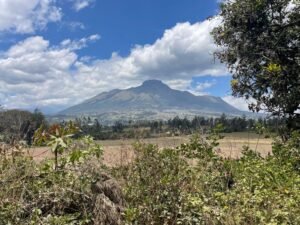 rs2500279 img 28 large