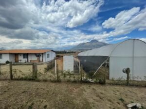 rs2500279 img 44 large