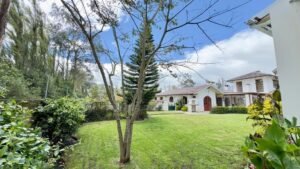 rs2500281 img 16 large