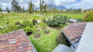 rs2500281 img 29 large