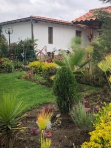 rs2500359 img 24 large