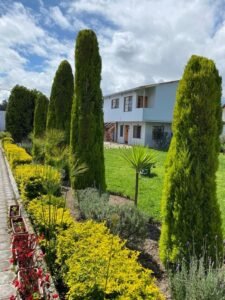 rs2500359 img 26 large