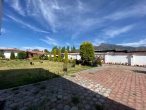 rs2500359 img 3 large