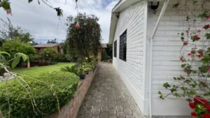 rs2500391 img 7 large